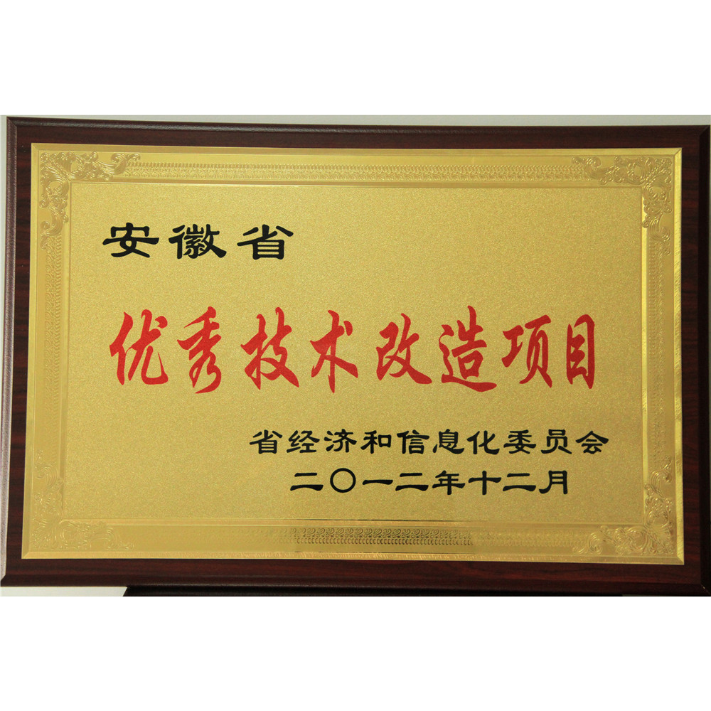 2012.12-省级优秀技术改造项目