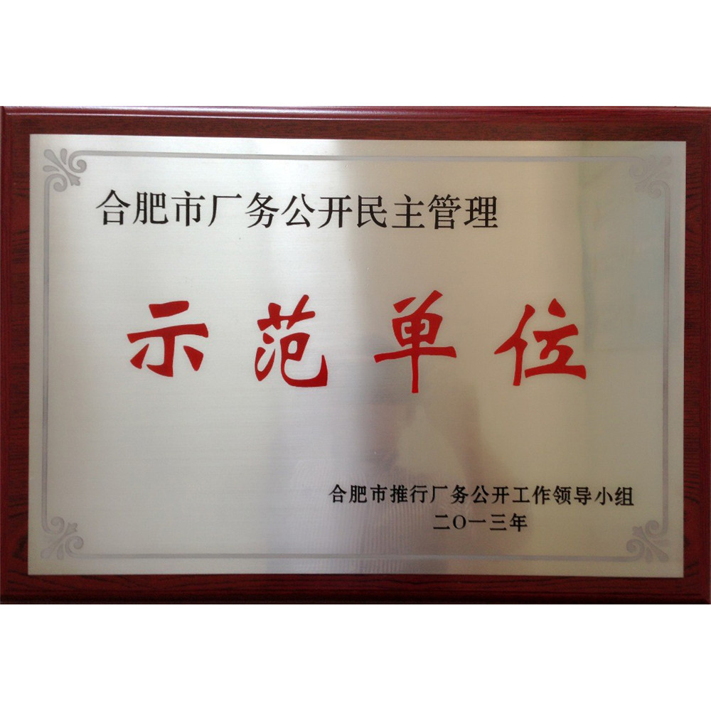 2013-合肥市产厂务公开明主管理示范单位