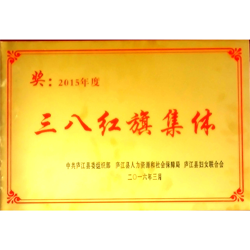 2016.03.06--2015年度三八红旗集体奖